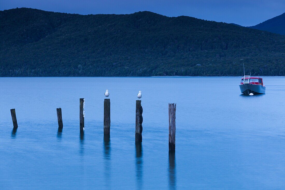 New Zealand, South Island, Southland, Te Anau, Lake Te Anau and boat, dawn.