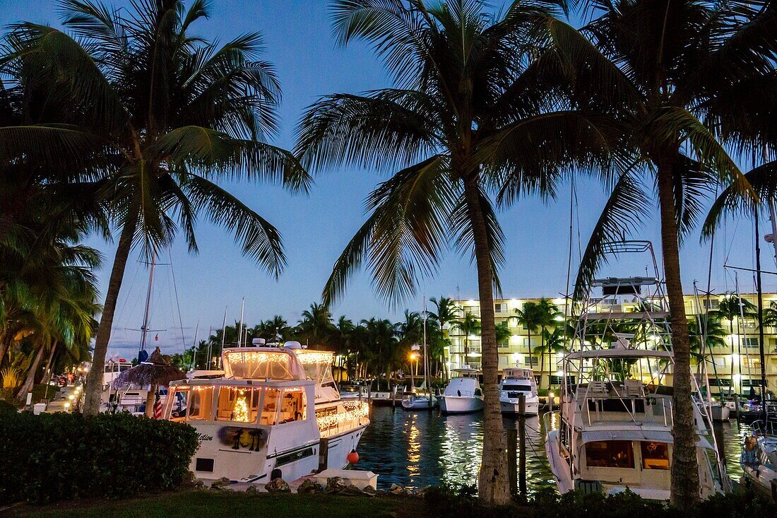 Florida, Key Largo, Upper Florida Keys, Courtyard Key Largo, waterfront, canal, marina, yachts, boat, slip, palm tree, dusk, night, twilight