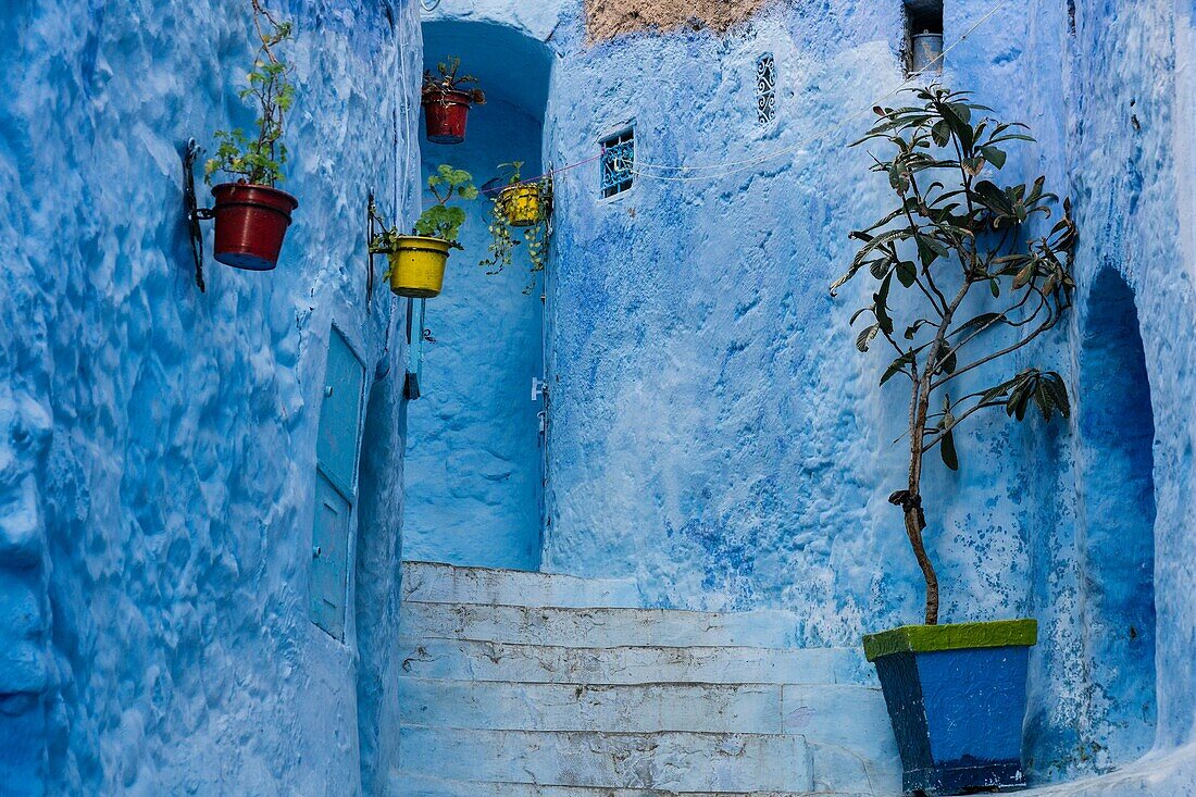 Morocco, Chefchaouen, Narrow alley with blue houses and steps
