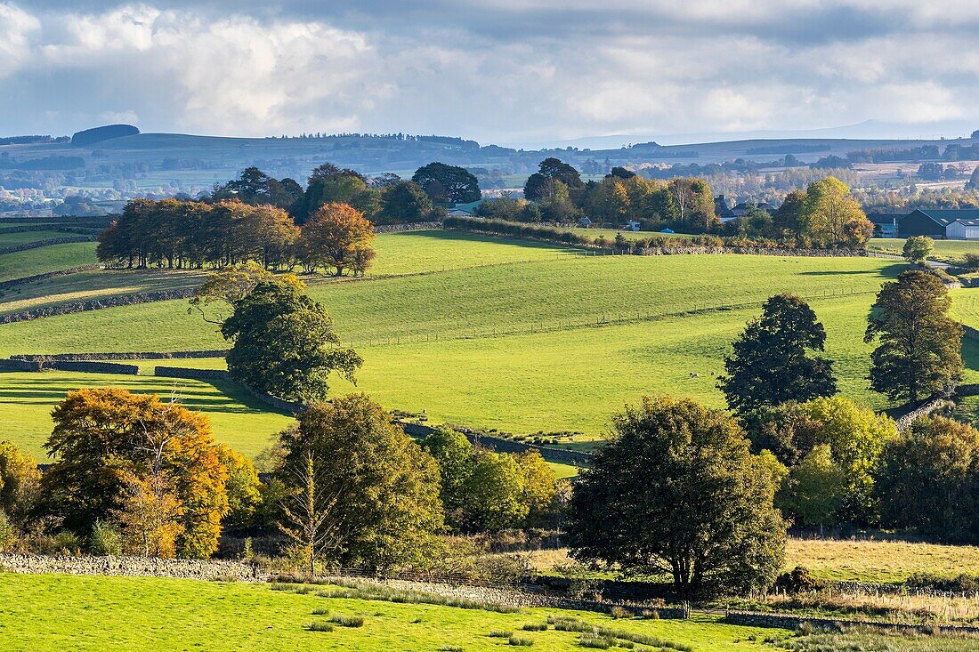 Cumbrian landscape near Keswick, Lake District National Park, Cumbria, England, UK, Europe.