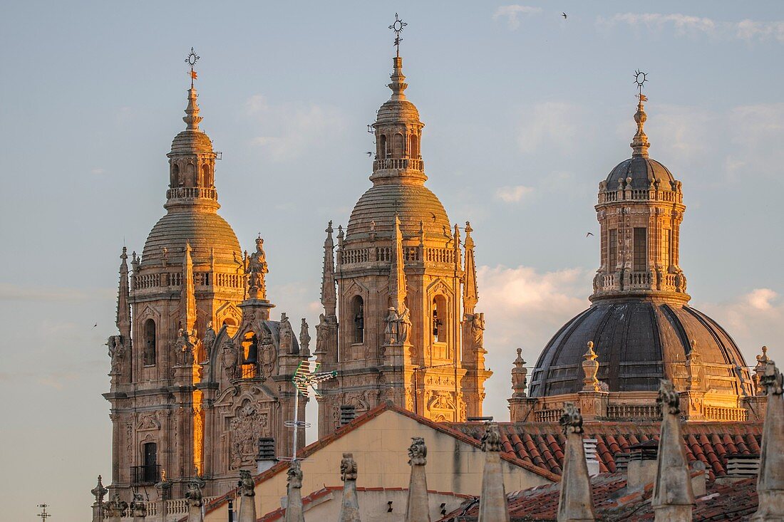 Salamanca La Clerecia Towers from Plaza Mayor XVIIth to XVIIIth centuries, Salamanca, UNESCO World Heritage, Castilla y Leon, Spain.