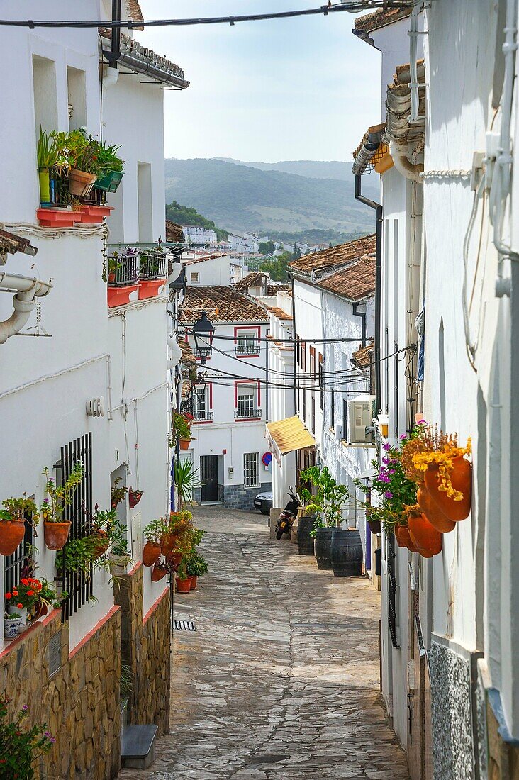 Flowery lane of the town Ubrique in the province of Cádiz, largest of the White Towns, Pueblos Blancos of Andalusia, Spain.