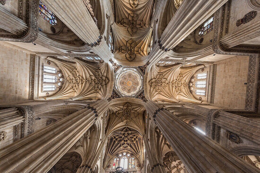 Cathedral, Salamanca, Spain