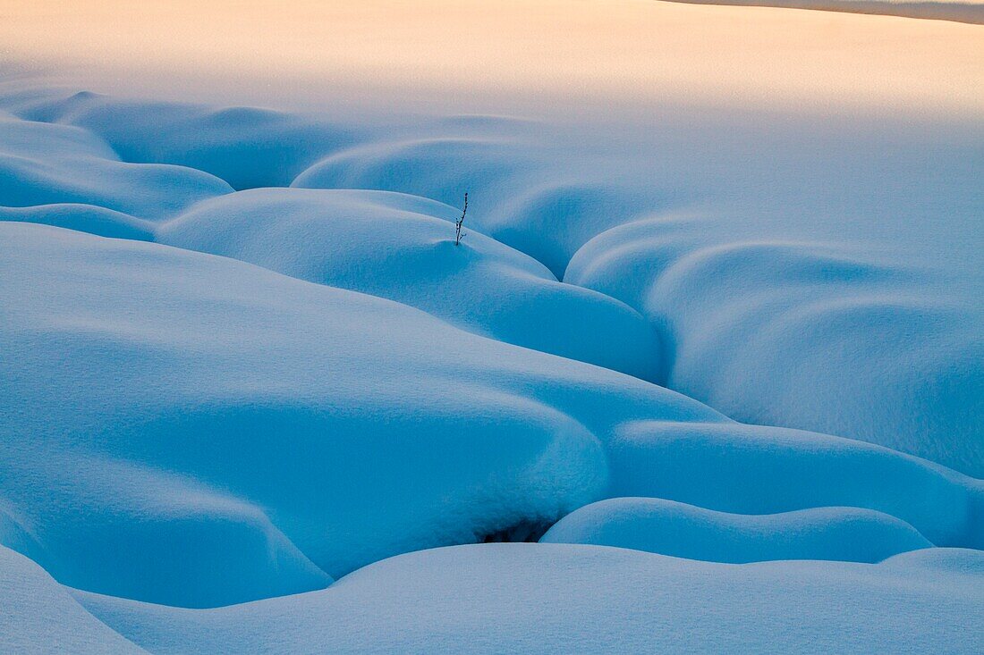 Pristine dunes of snow in winter