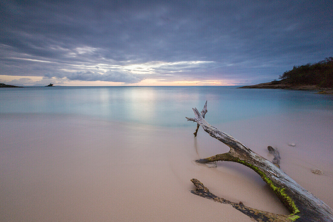 The caribbean sunset frames tree trunks on the beach Hawksbill Bay Caribbean Antigua and Barbuda Leeward Islands West Indies