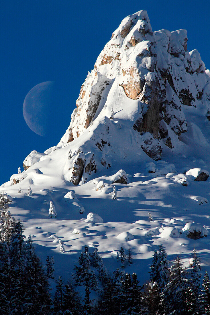 Big Moon rising in Dolomites in winter season, from Ciampedie, Val di Fassa, Province of Trento, Trentino Alto-Adige, Italy
