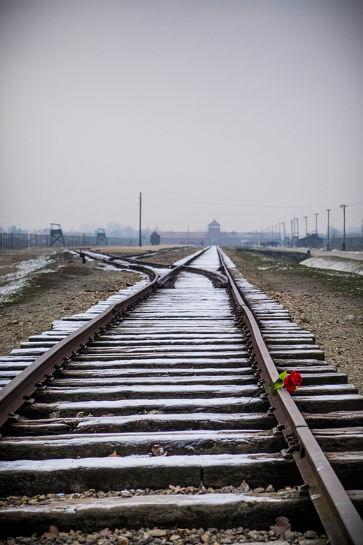Auschwitz, Oswiecim, Birkenau, Brzezinka, Poland, North East Europe, Railroad in nazi extermination camp