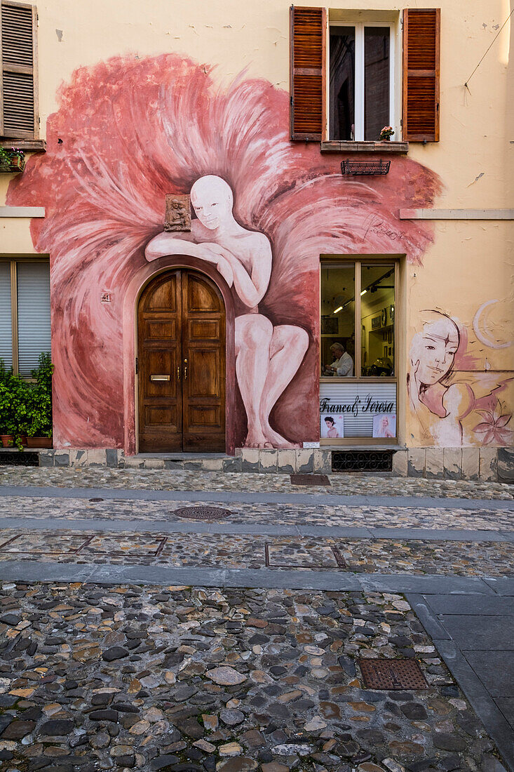 Dozza, Bologna, Emilia Romagna, Italy, Europe, Steady works painted on the wall of the houses
