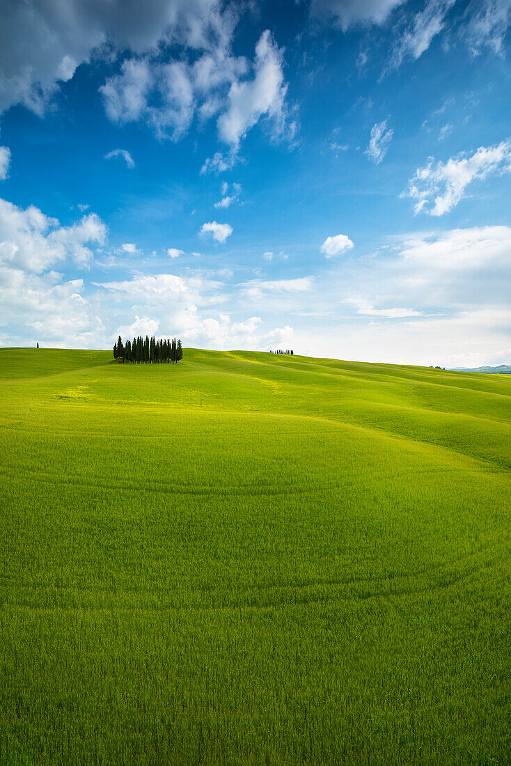 San Quirico d'Orcia, Tuscany, Italy