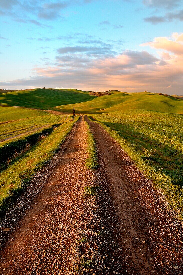 country roads in Val d'Orcia, Tuscany