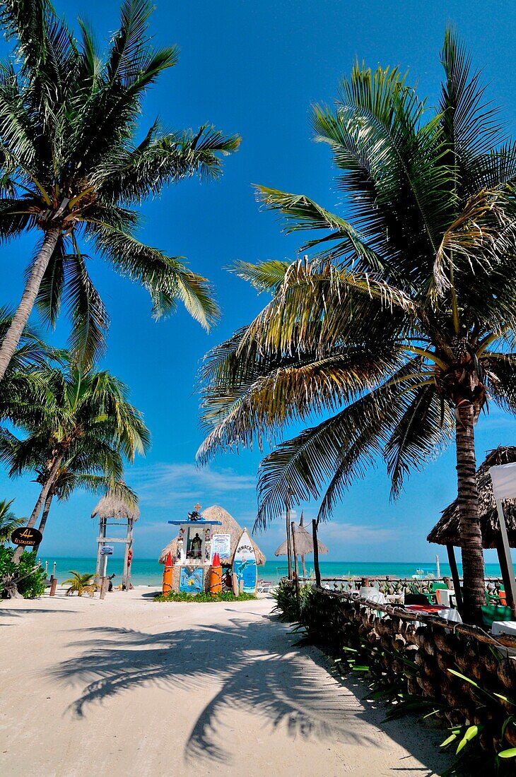 Typical image of a paradise beach with palm trees in the Holbox island, Mexico, quintana roo