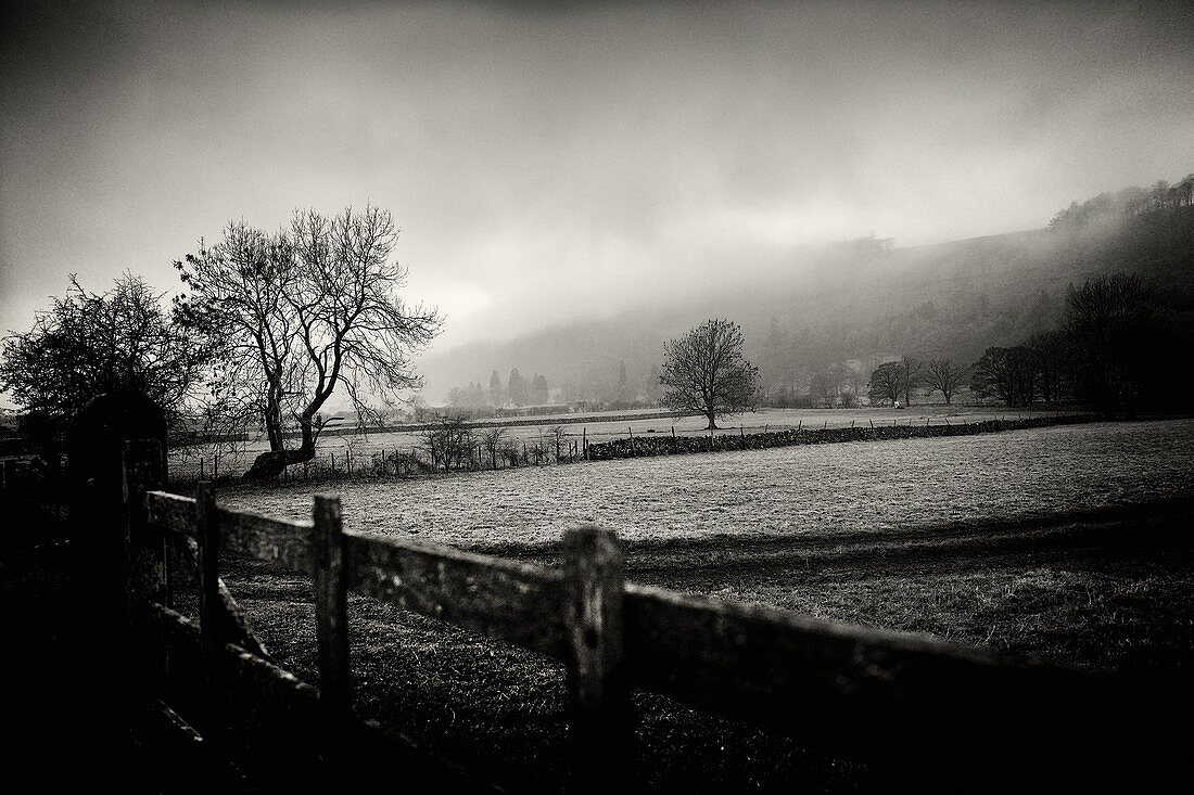 Rural landscape at sunset with trees on a foggy day. Buckden, Skipton, Yorkshire Dales, North Yorkshire, England, UK.