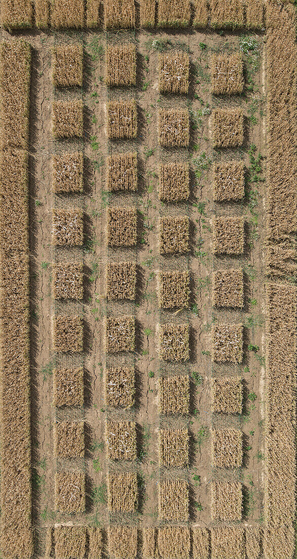 Full frame aerial view of crops in agricultural landscape, Stuttgart, Baden-Wuerttemberg, Germany