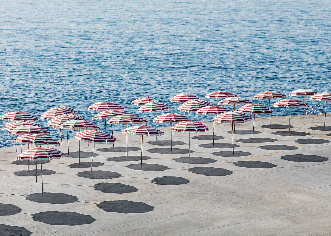 High angle view of parasols at beach during sunny day