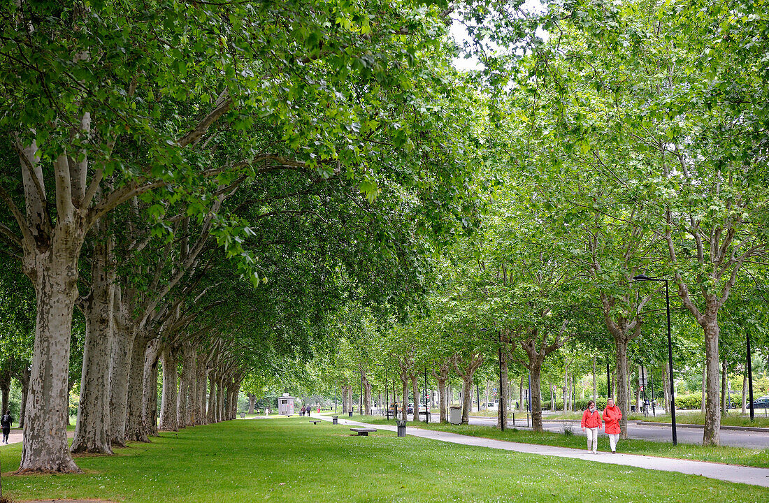 France, South-Western France, Bordeaux, promenade along the Garonne river on the right bank