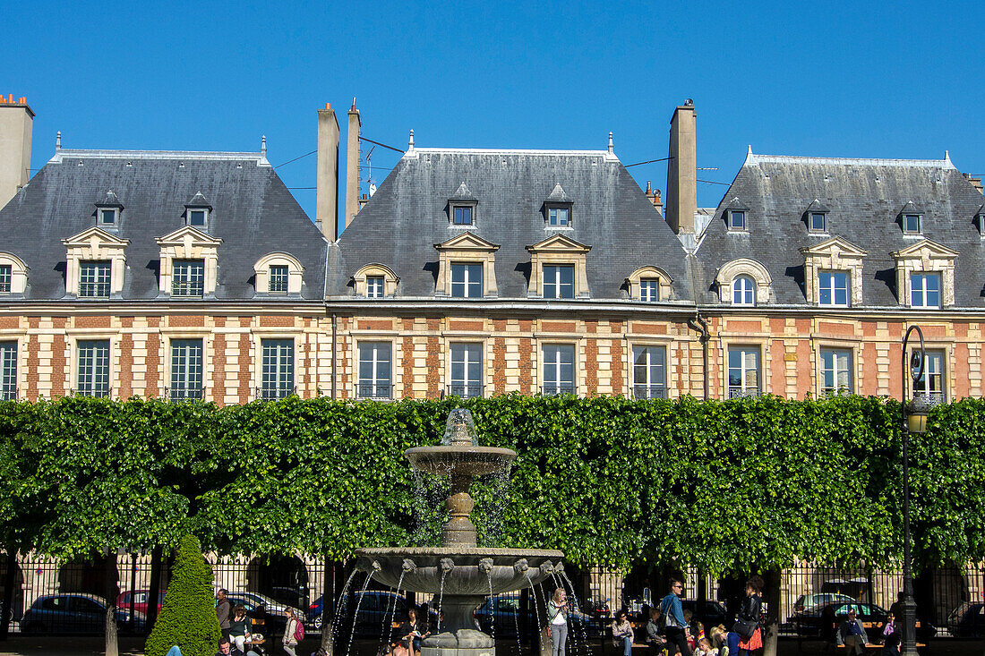 France, Paris, Place des Vosges with pruned trees in the garden