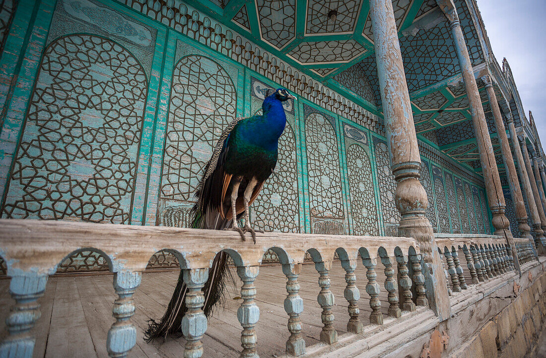 Uzbekistan, Bukhara, Chor Bakr Complex, inner garden terrace