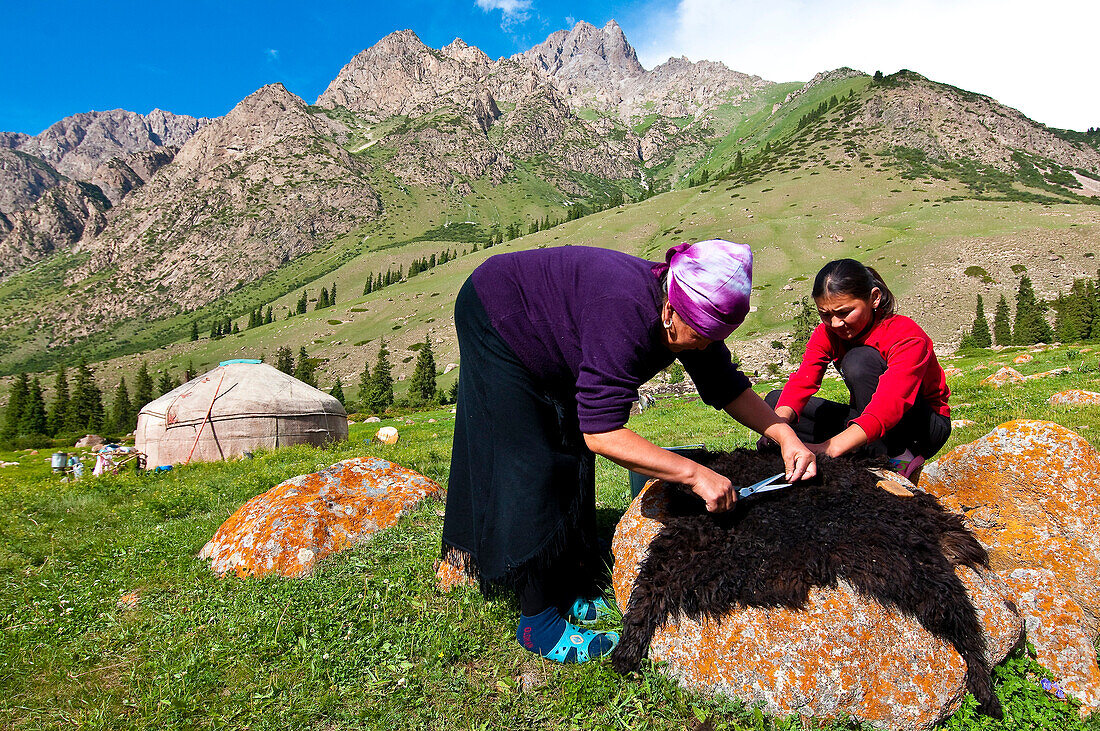 Kyrgyzstan, Issyk Kul Province (Ysyk-Kol), Juuku valley, Veniera Kalibaet and her daughter Kanikei cleaning a sheep skin