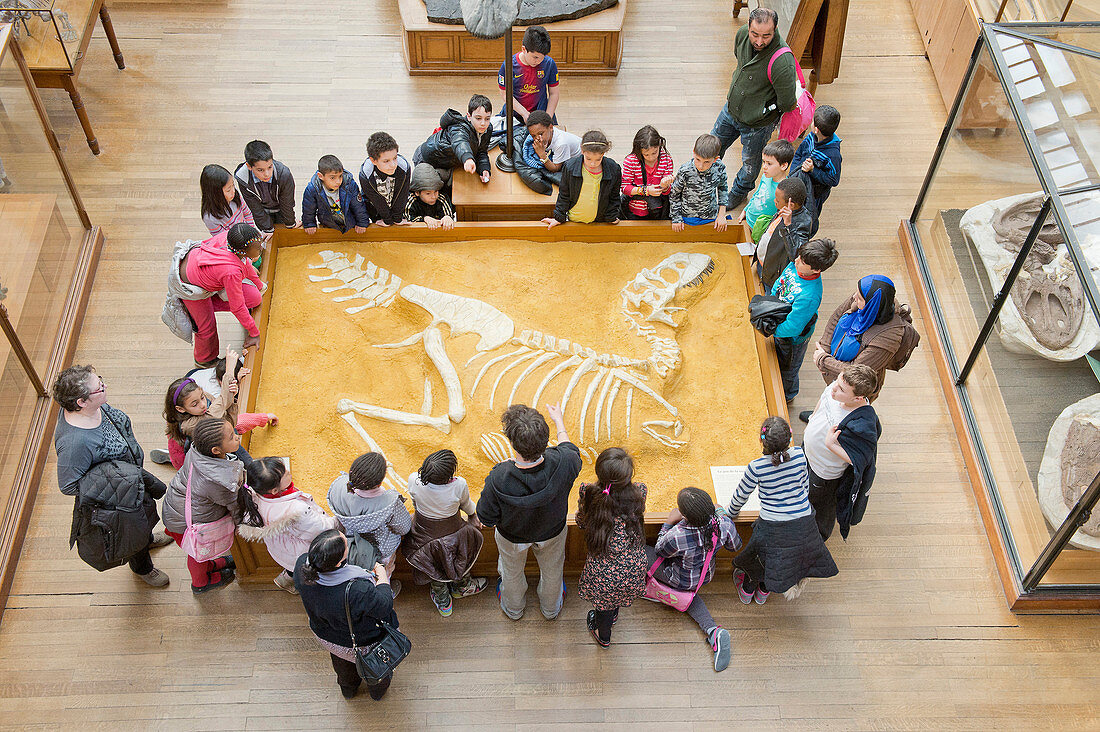France. Paris 5th district. The Jardin des plantes (Garden of Plants). The Gallery of Paleontology. Group of children around a Tarbosaurus Battar skeleton