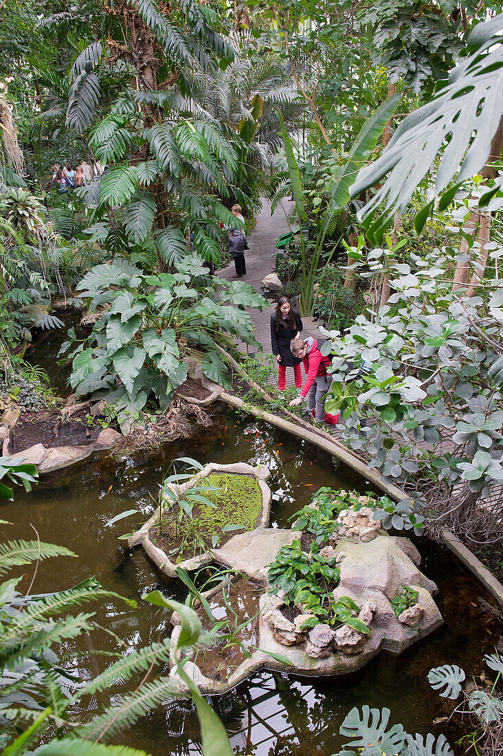 France. Paris 5th district. The Jardin des plantes (Garden of Plants). The Great Greenhouses. The tropical greenhouse