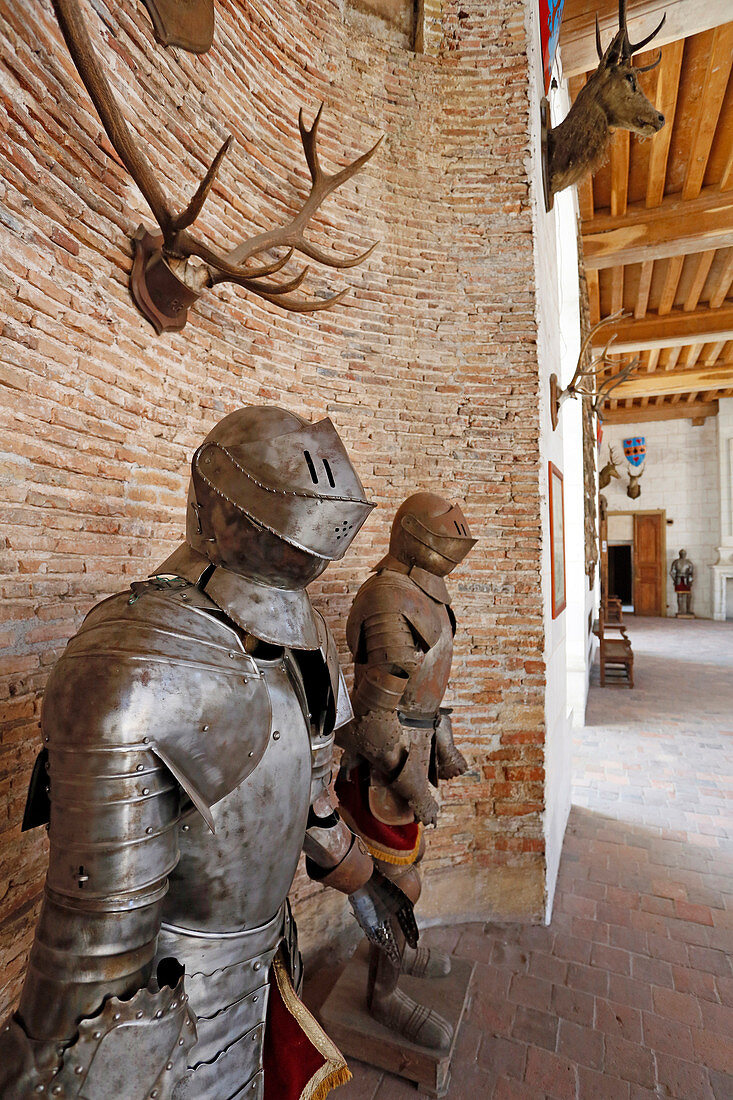 France, Burgundy, Yonne. Saint Fargeau castle. The guards room. Armours.