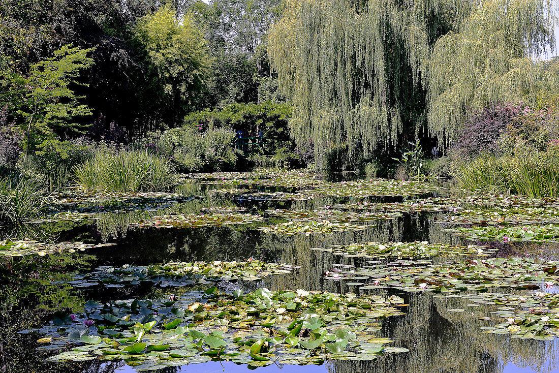France, Normandy, Eure, Giverny, house and garden of the painter Claude Monet, Water Lily Pond