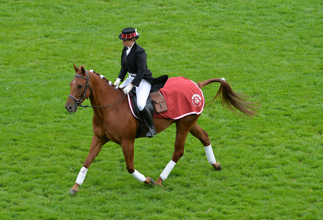 France, Paris 16th district, Longchamp Racecourse, Qatar Prix de l'Arc de Triomphe on October 4th and 5th 2015