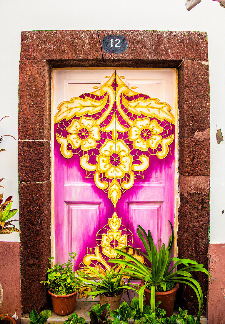 Madeira Island : Portao Rua de Sao Thiago, Flowered door