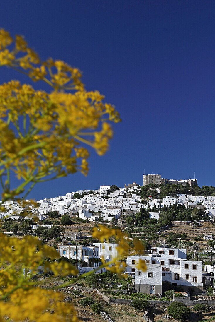 Wild Fennel, Chora and the monatery of St. John, Patmos, Dodecanese, Greece