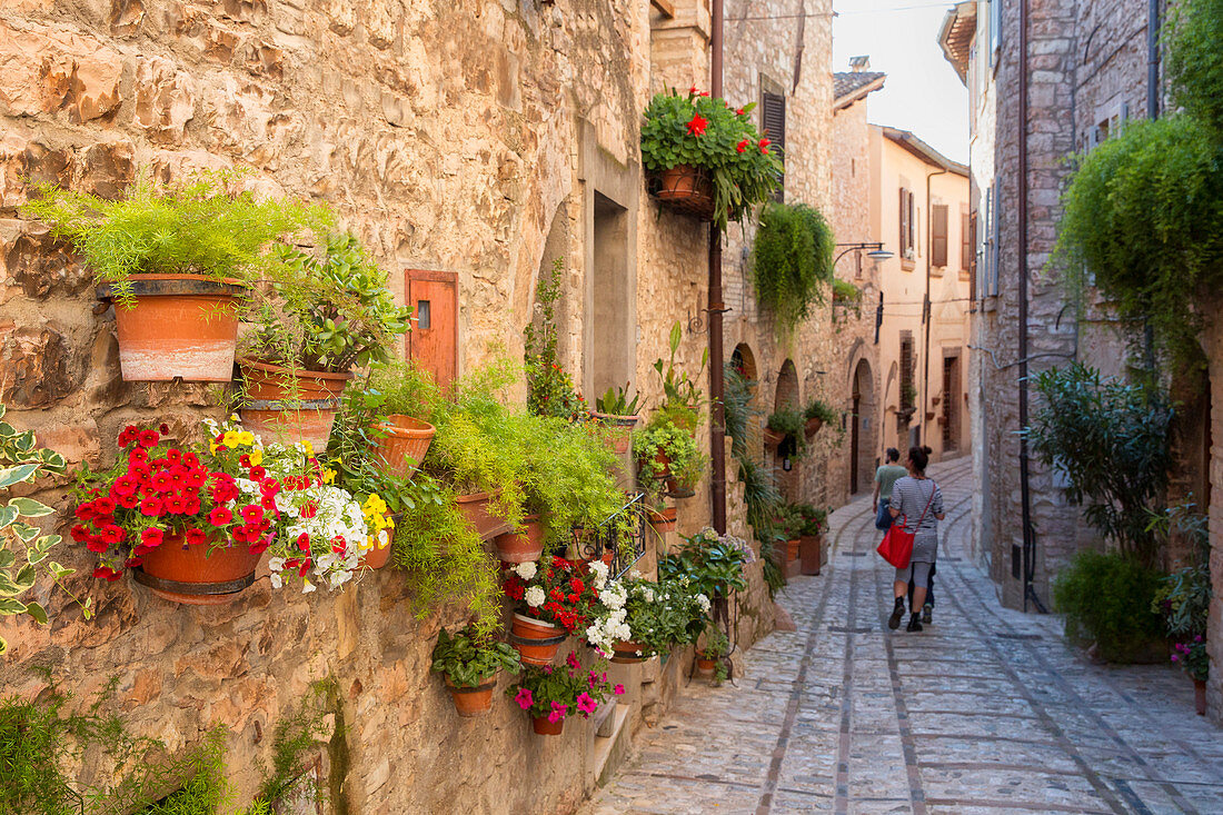 Europe, Italy, Umbria, Perugia district, Spello, Glimpse of the city