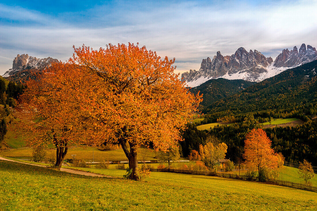 Val di Funes, Trentino Alto Adige, Italy, Autumn colors in Val di Funes