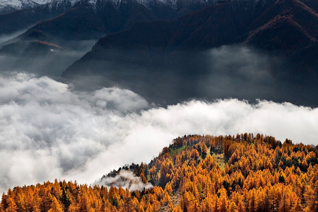 Orsiera Rocciavre Park, Chisone Valley, Turin, Piedmont, Italy, Autumn Orsiera Rocciavre Park