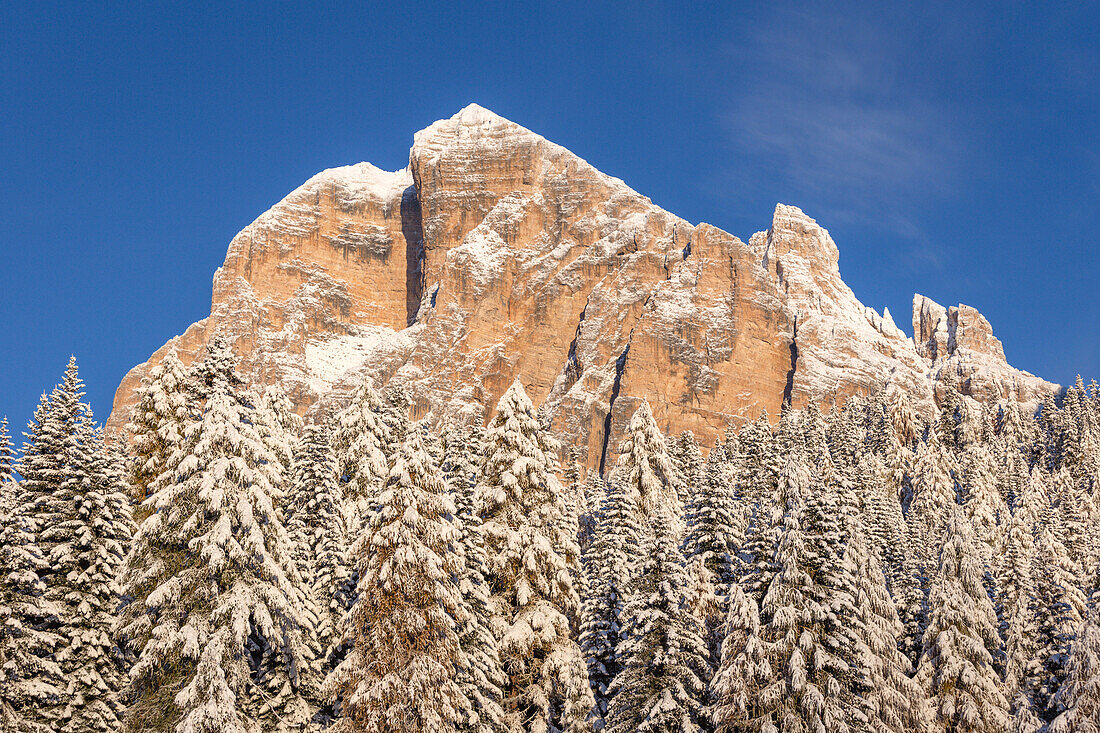 The famous south wall of mount Tofana di Rozes, Cortina d'Ampezzo, Belluno district, Veneto, Italy, Europe