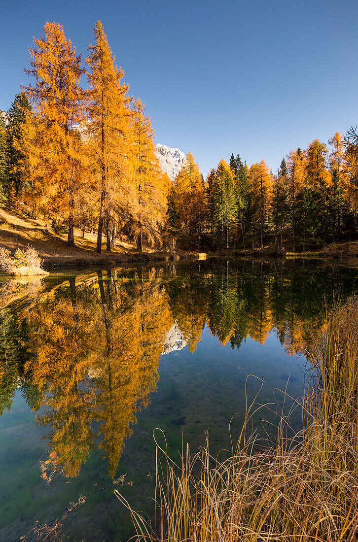 Small mountain lake in the fall season, Cortina d'Ampezzo, Belluno district, Veneto, Italy, Europe