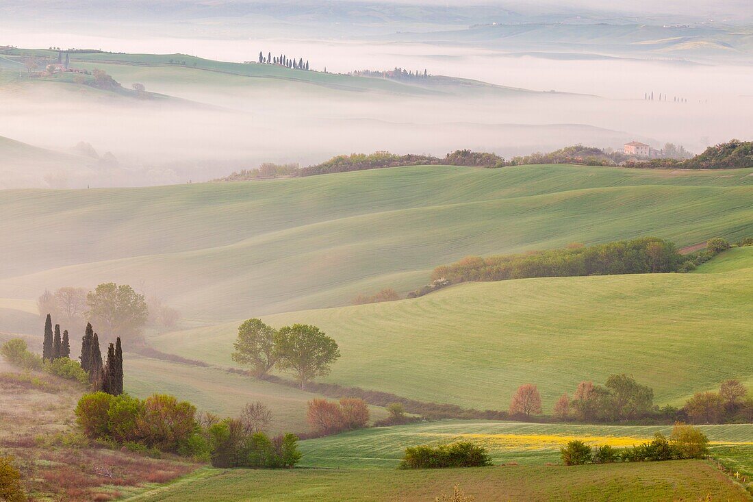 San Quirico, Orcia valley, Tuscany, Italy, The rolling hills at sunrise seen from Belvedere