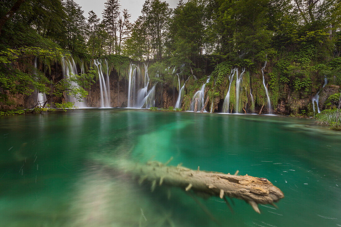 Plitvice National park, Croatia, A trunk into a lake and waterfalls
