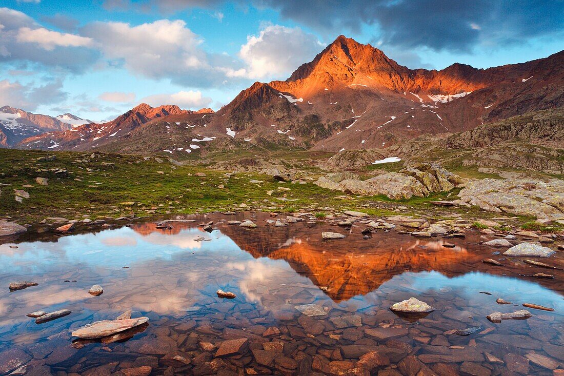 Gavia pass, Stelvio national park, Lombardy, Italy, The Corno of Tre Signori is reflected into a small puddle