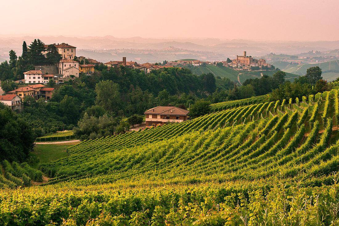 Italy, Piedmont, Cuneo district, Langhe, Castiglione Falletto, the vineyards and the castle of Castiglione Falletto