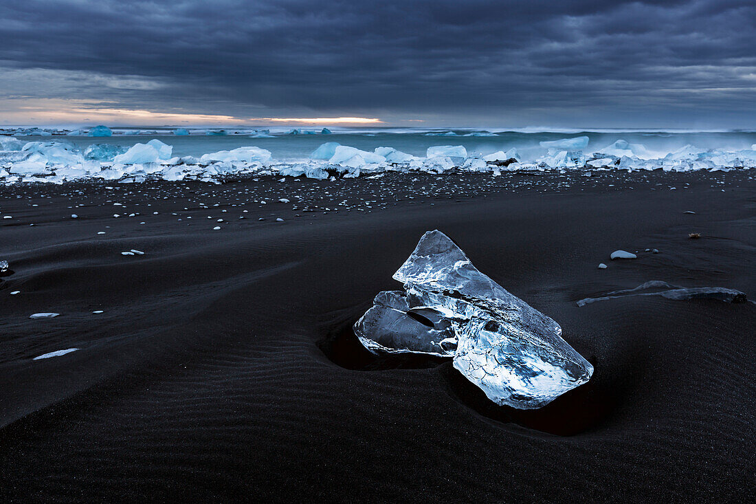 The black beach of Jokulsarlon at low tide is filled with small ice floes that contrast with the dark ground