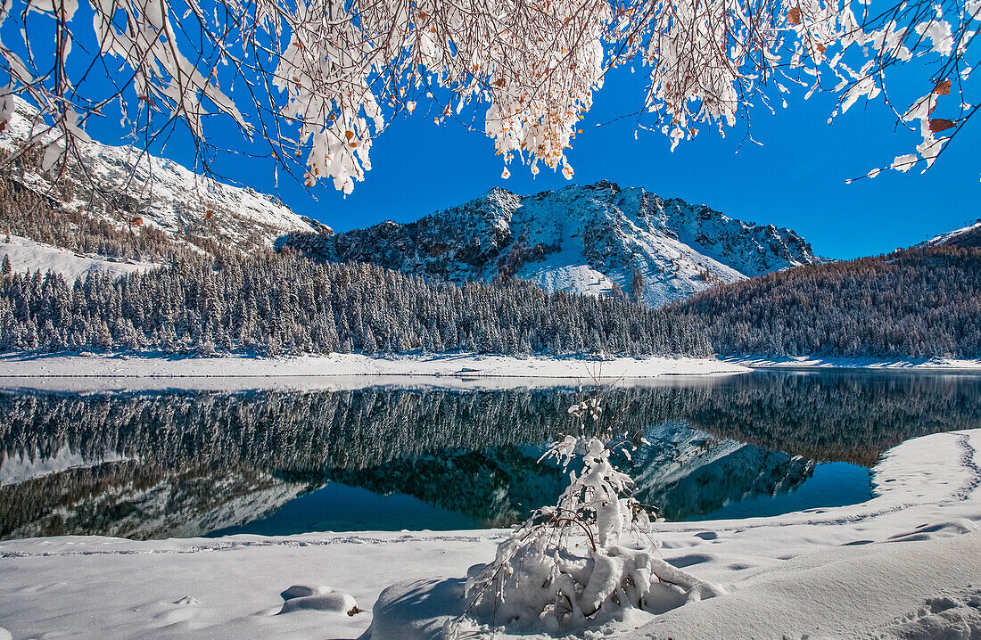 Malenco valley, Pal? lake, Lombardy, Italy