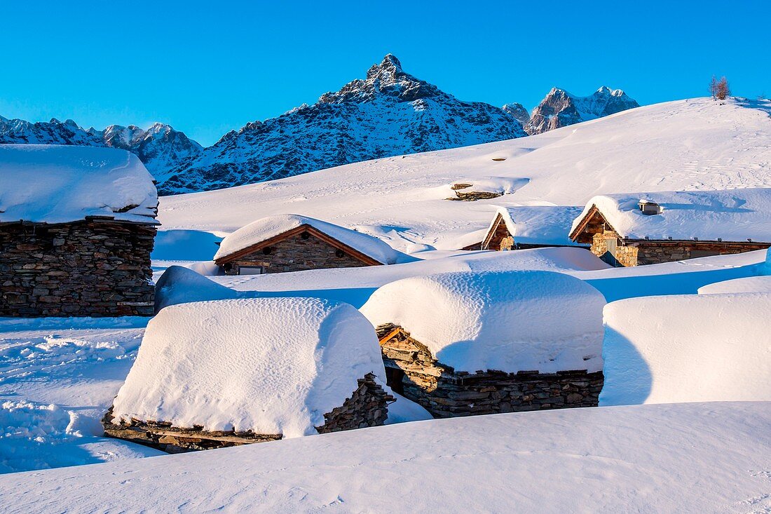 Sasso Moro seen from the huts at the Alpe Prabello, Prabello Alp at the sunset, Valmalenco, Valtellina, Italy