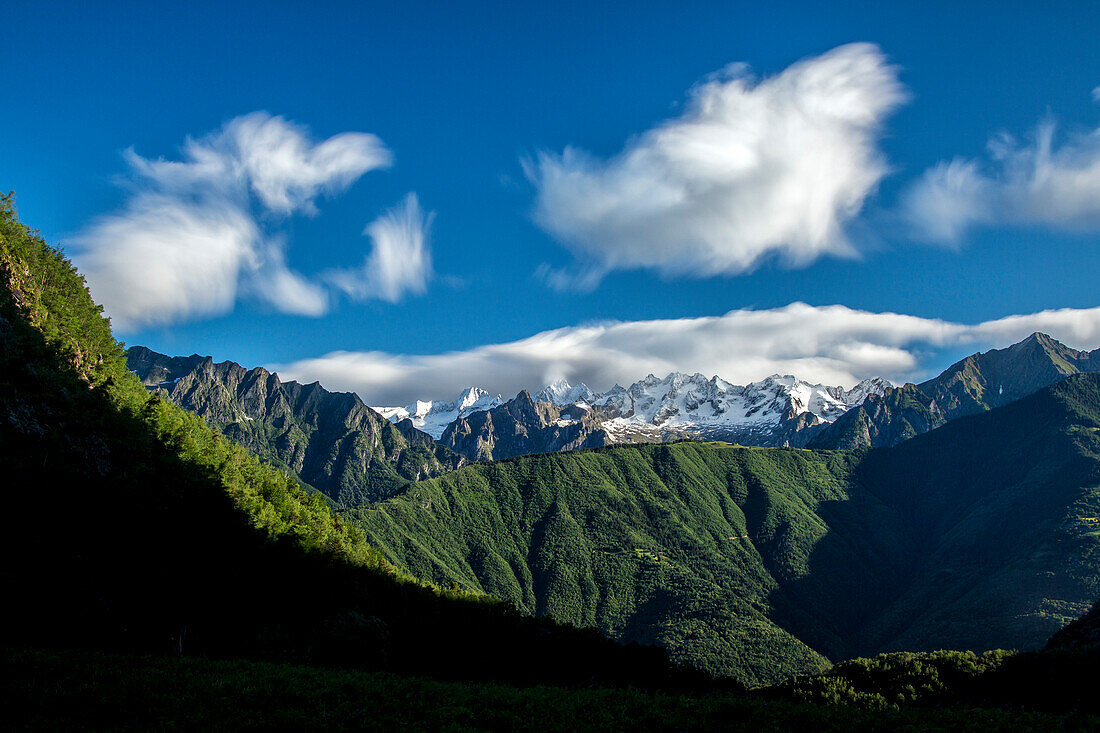 The snowy peaks and the green mountains Rhaetian Alps Masino Valley Valtellina Lombardy Italy Europe