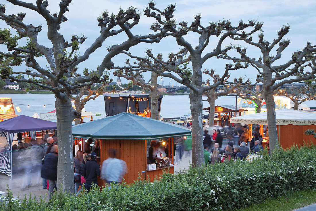 Rhinehessen wine presentation during the wine days along the banks of the Rhine, Mainz, Rhineland-Palatinate, Germany, Europe