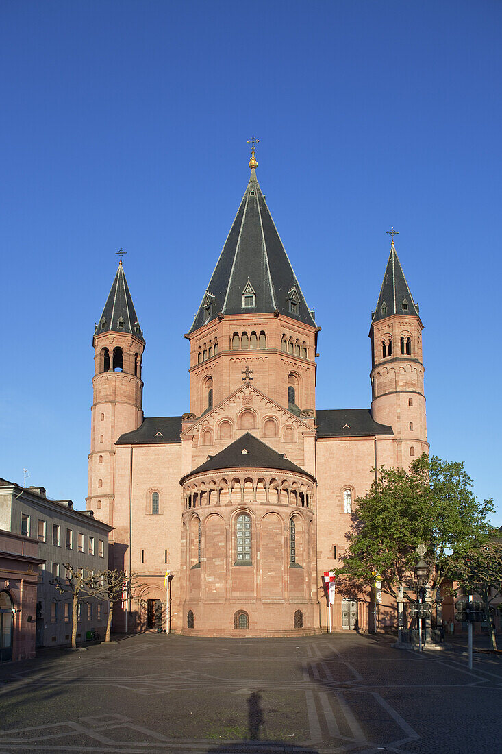 Hoher Dom zu Mainz in Altstadt, Rheinland-Pfalz, Deutschland, Europa