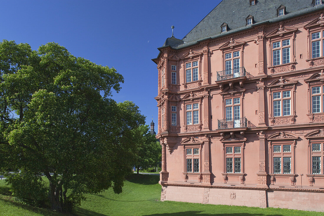 Kurfürstliches Schloss Mainz am Rheinufer in Mainz, Rheinland-Pfalz, Deutschland, Europa
