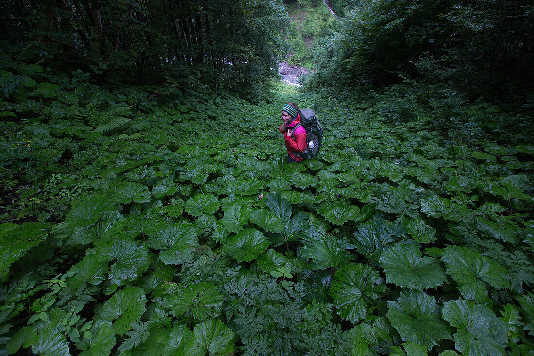 Junge Wanderin steht in einem Feld aus Pflanzen mit großen Blättern in der Nähe der Kemptener Hütte