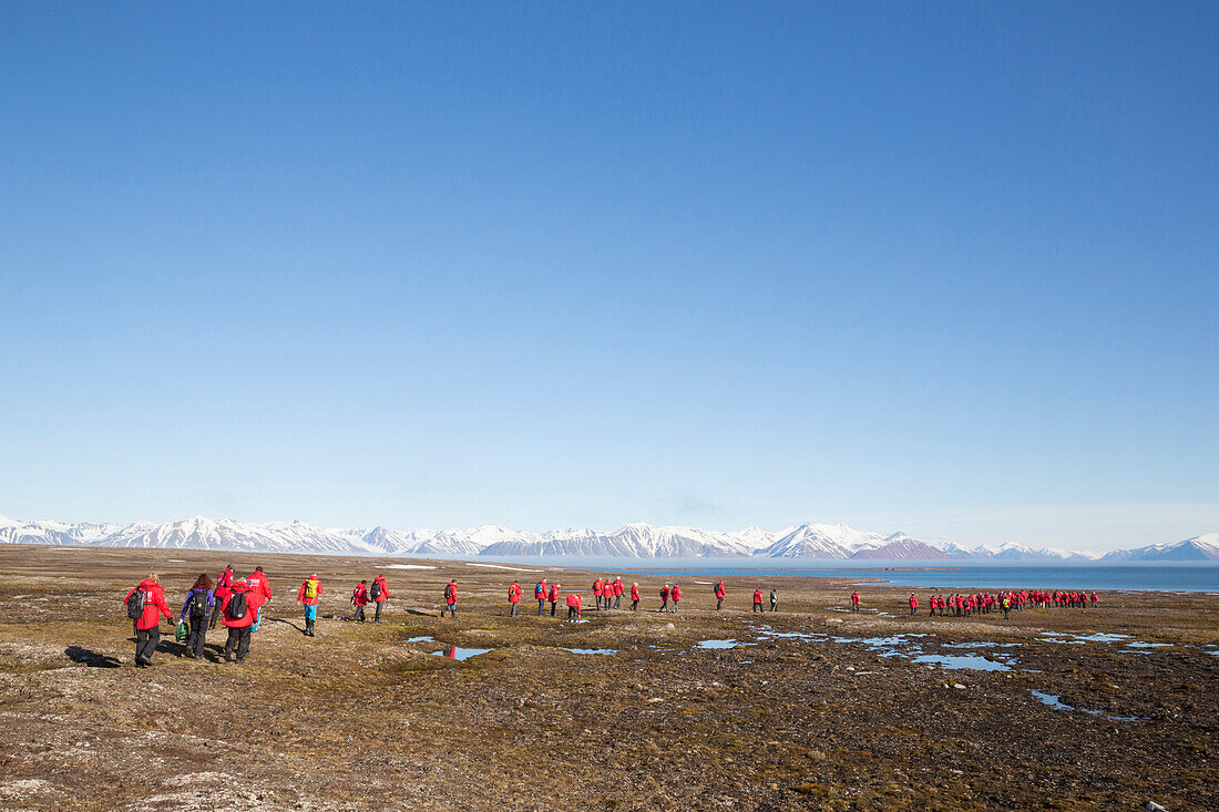 People hiking at Worsleyhamna, Liefdefjorden Spitzbergen, Svalbard