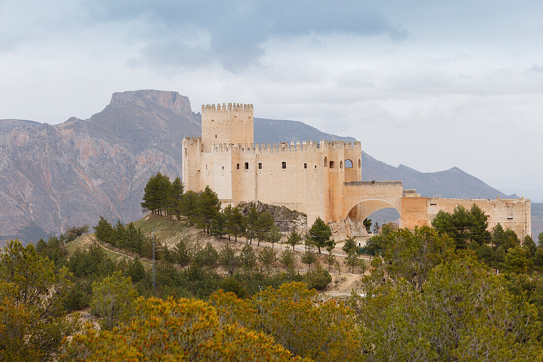 Castillo de Velez-Blanco, Castillo de los Fajardos, 16th. century castle, renaissance, Velez-Blanco, Almeria province, Andalucia, Spain, Europe