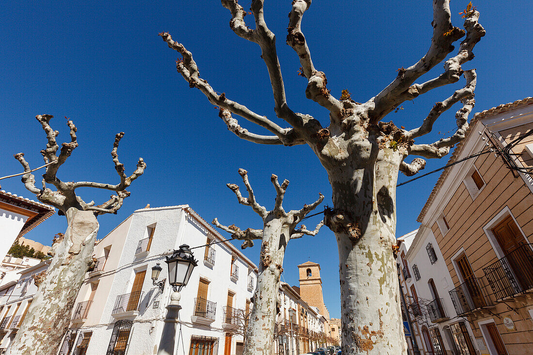 Main street with church, Velez-Blanco, pueblo blanco, white village, Almeria province, Andalucia, Spain, Europe