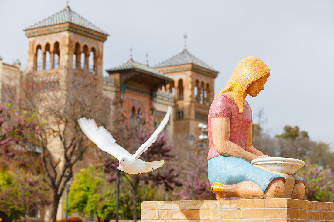 white dove, drinking bowl in front of Museo de Artes y Costumbres Populares, Museum of Popular Art, Plaza de America, Parque de Maria Luisa, Iberoamerican Exhibition 1929, Seville, Andalucia, Spain, Europe